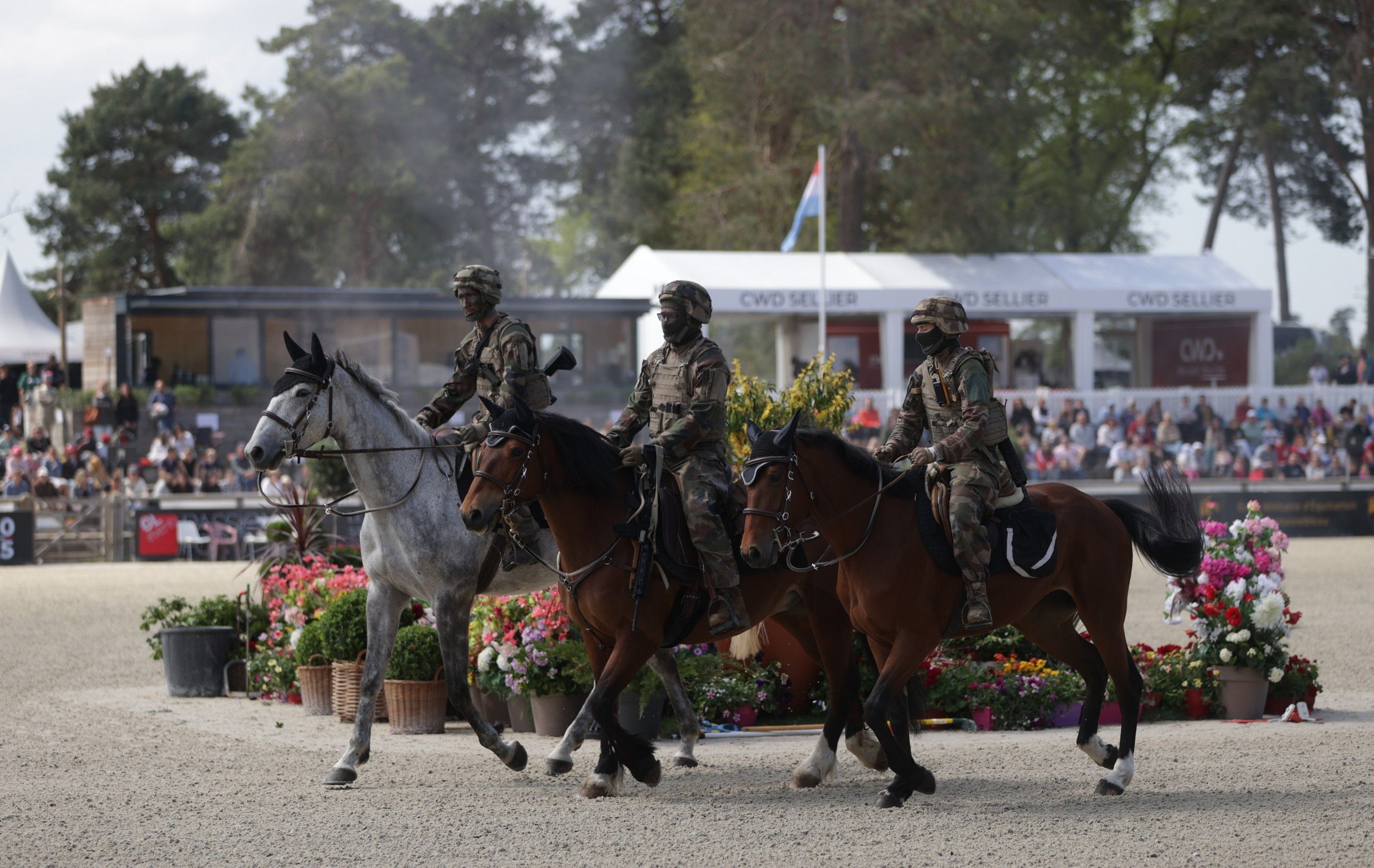 les championnats équestres à fontainebleau leprintempsdessportsequestres 3