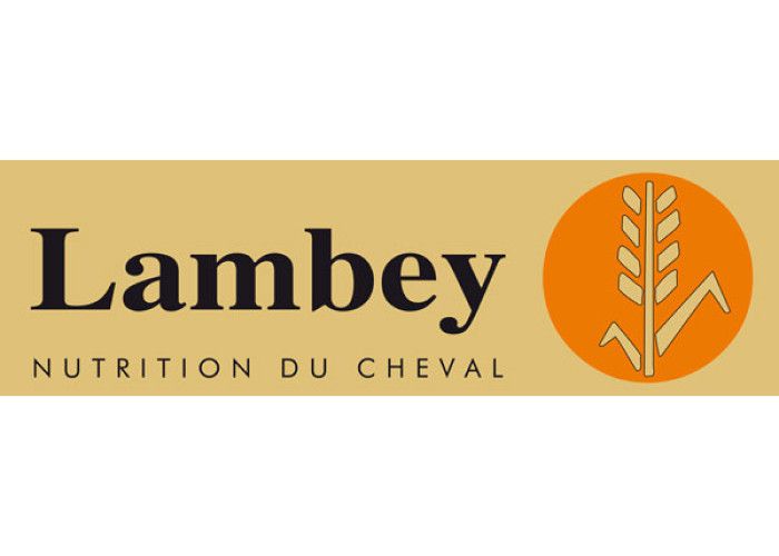 Logo lambey