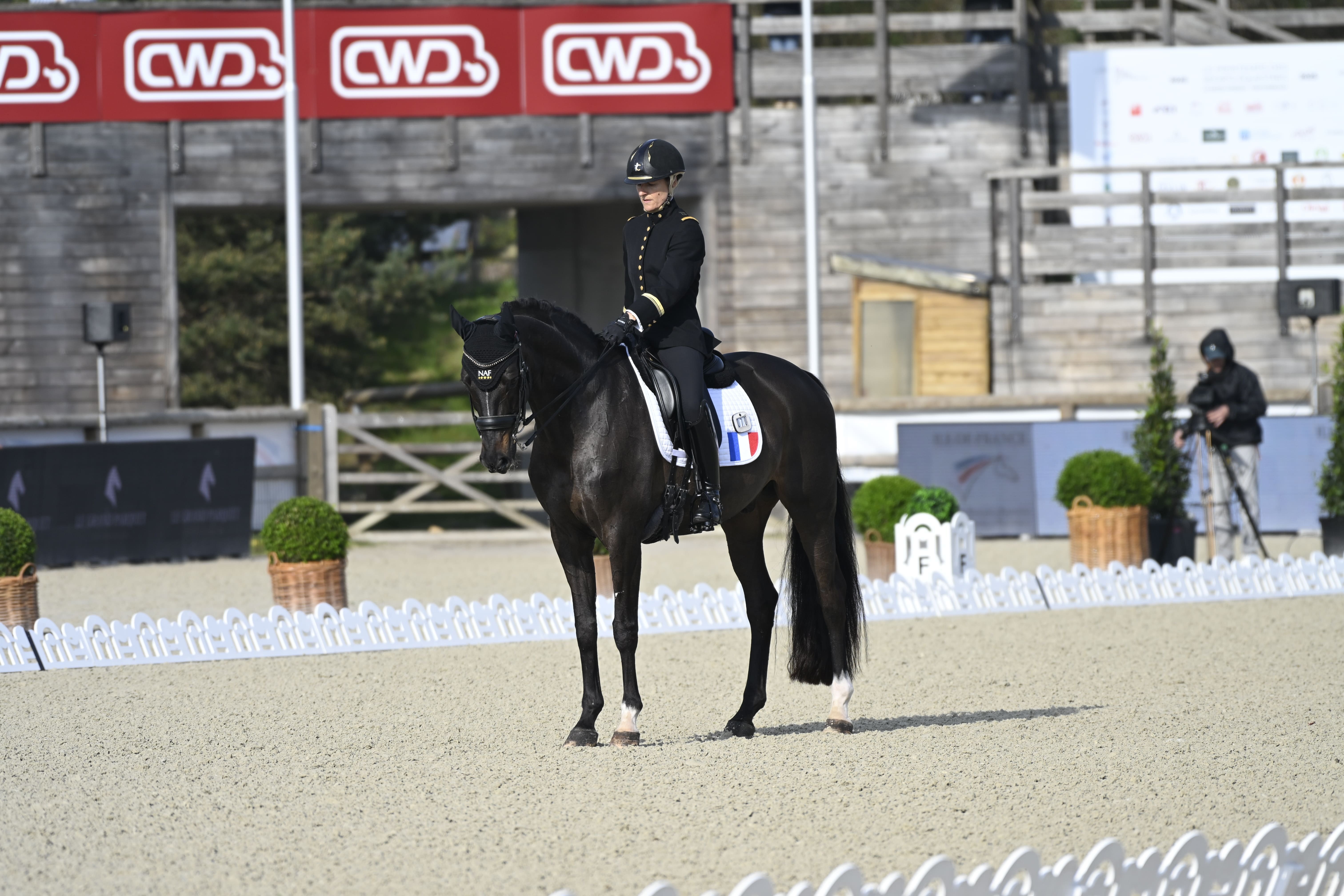 image Nouveauté 2026 : tout savoir sur la Coupe des Nations de dressage, CDIO 5*-NC 