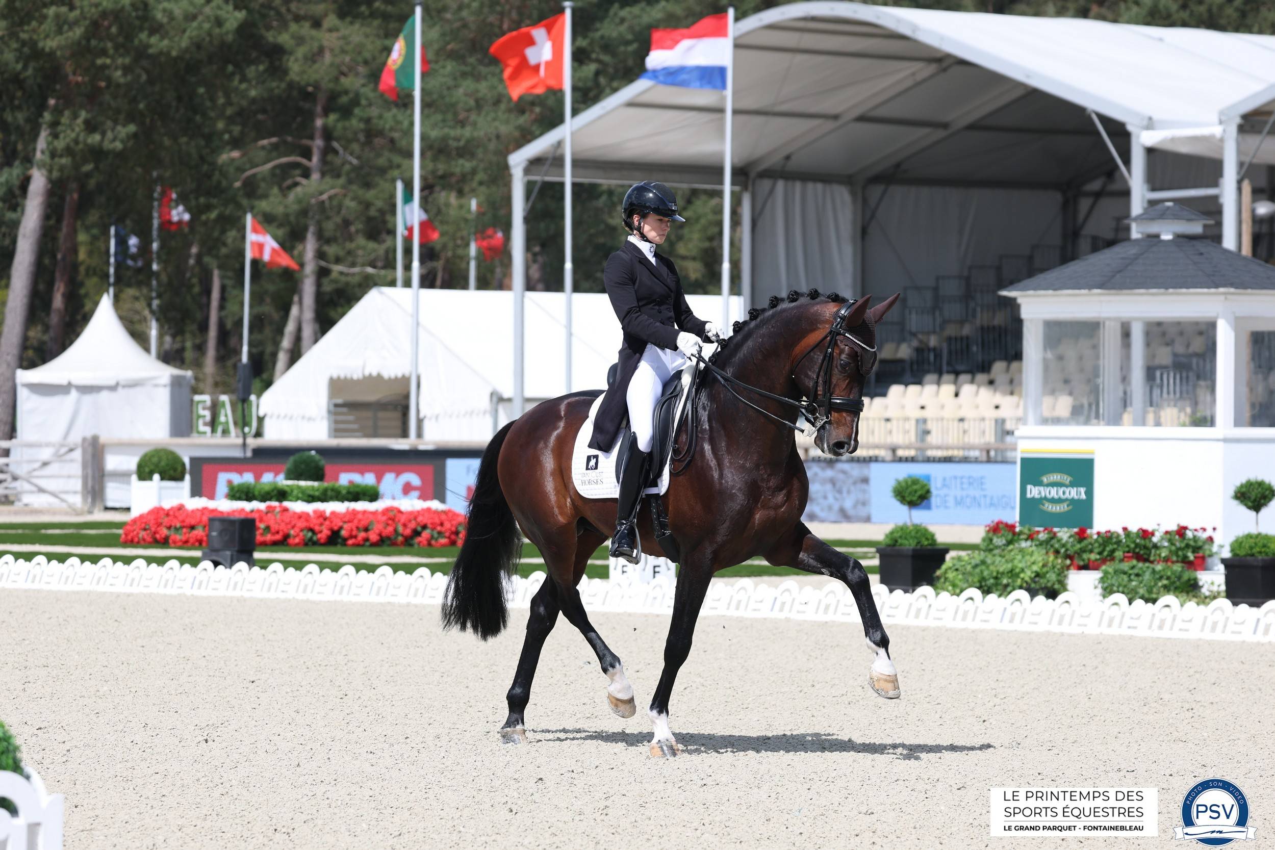 image LES PREMIERS CHEVAUX SONT ENTRÉS EN PISTE AUJOURD’HUI, ET LE « GOD SAVE THE KING » A DÉJÀ RETENTI !